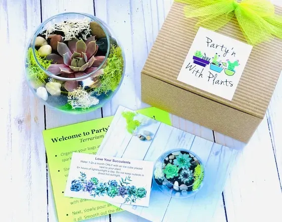 Choosing the Right DIY Craft Kit for Their Interests