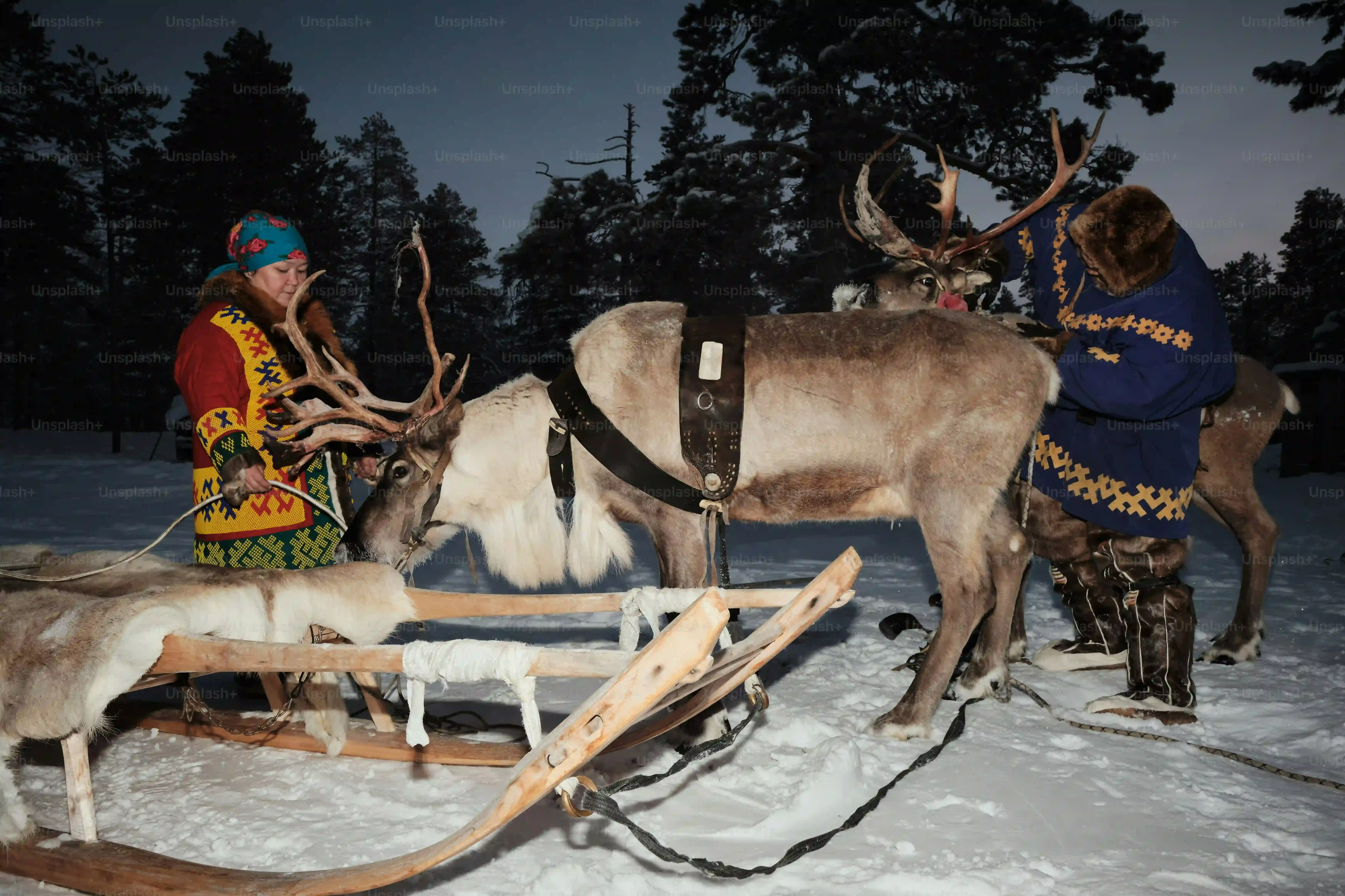 Gathering Your Craft Supplies for Reindeer DIY Gift Bags