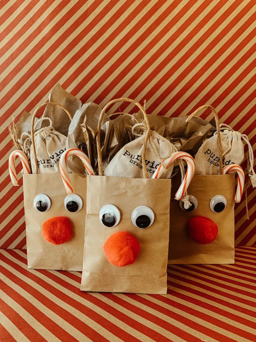 Simple Steps for Amazing reindeer diy gift bag Craft