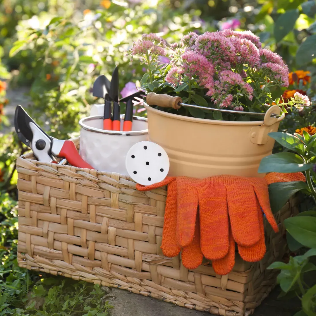 Themed DIY Gardening Gift Basket Ideas for Every Green Thumb